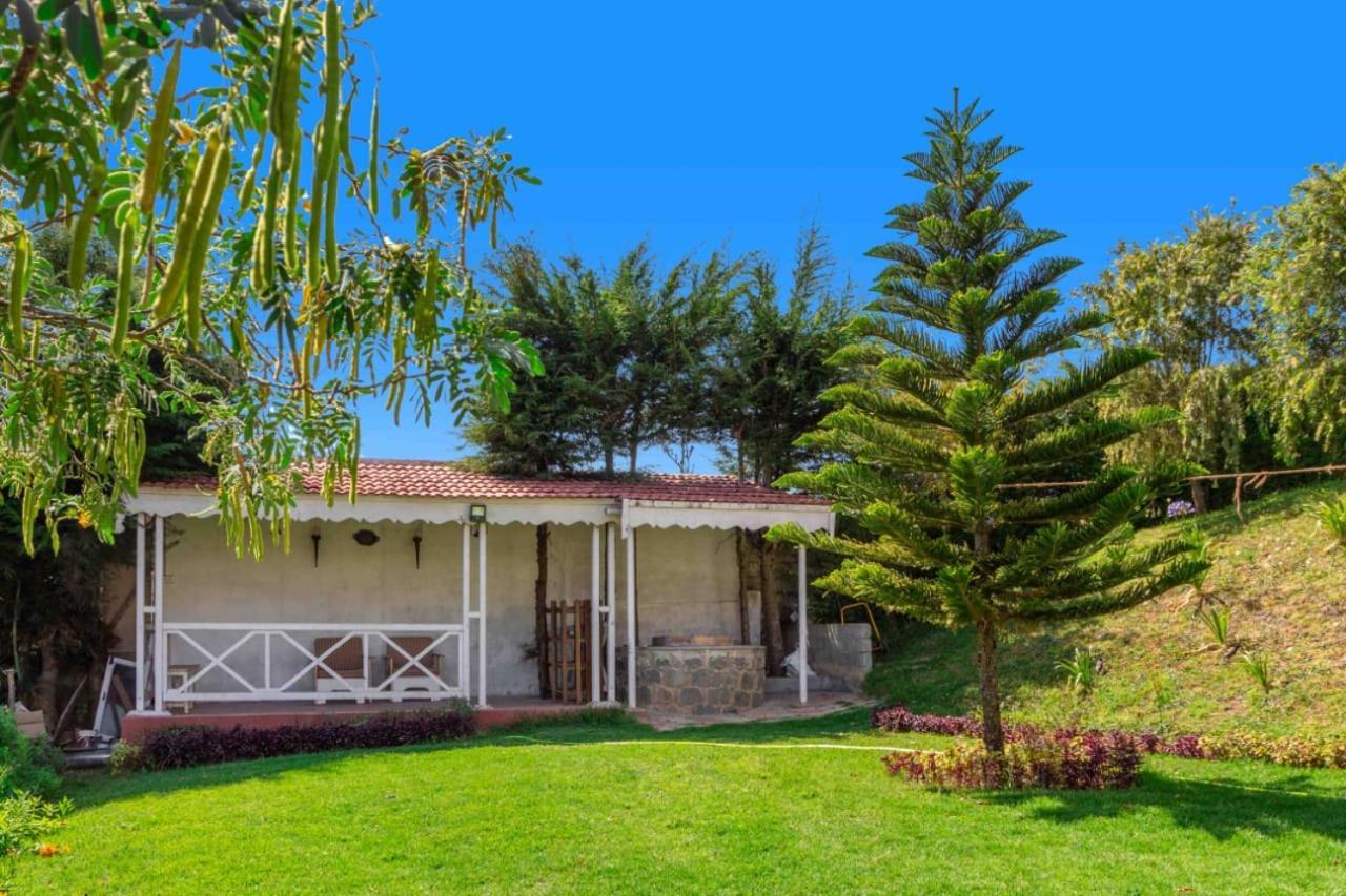 Pine View Stay Ooty Exterior foto